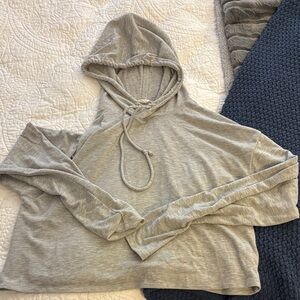 Aritzia Wilfred Free Gray Hooded Sweatshirt